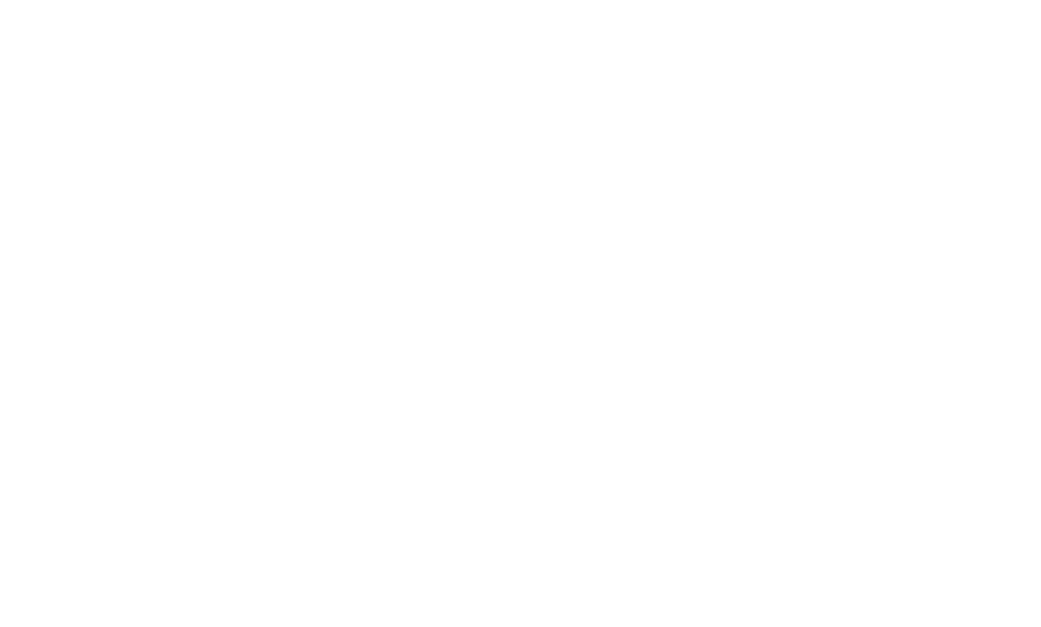 Flow physics fysiotherapie groningen fascia